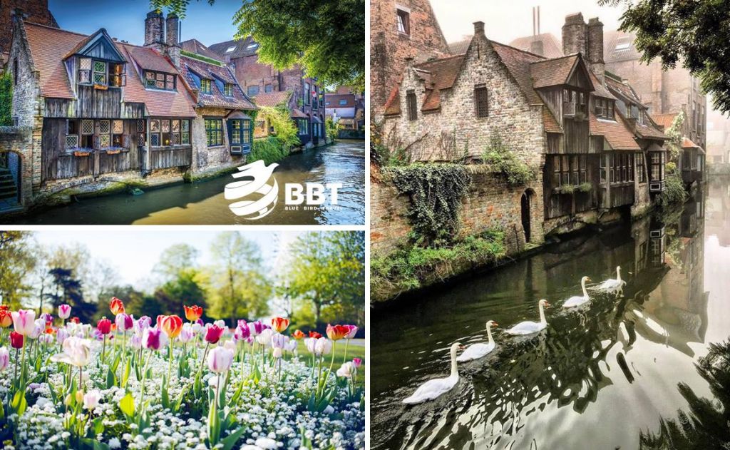 დაუვიწყარი მოგზურობა ბრიუსელიდან ბრიუგემდე და კულმინაცია - ამსტერდამში.