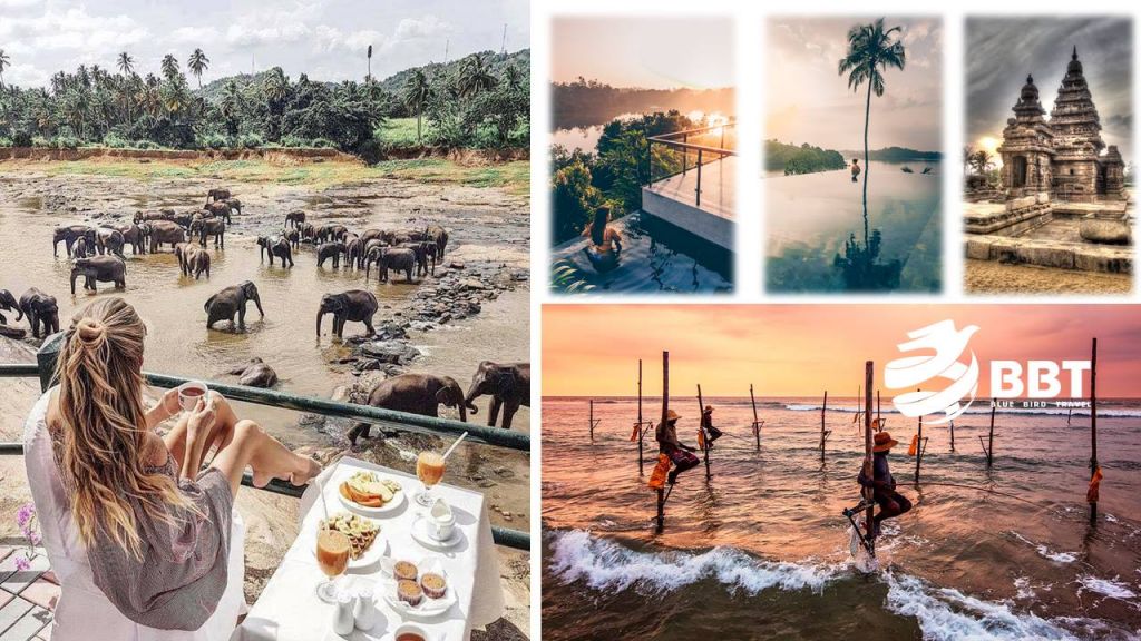 შრი - ლანკა