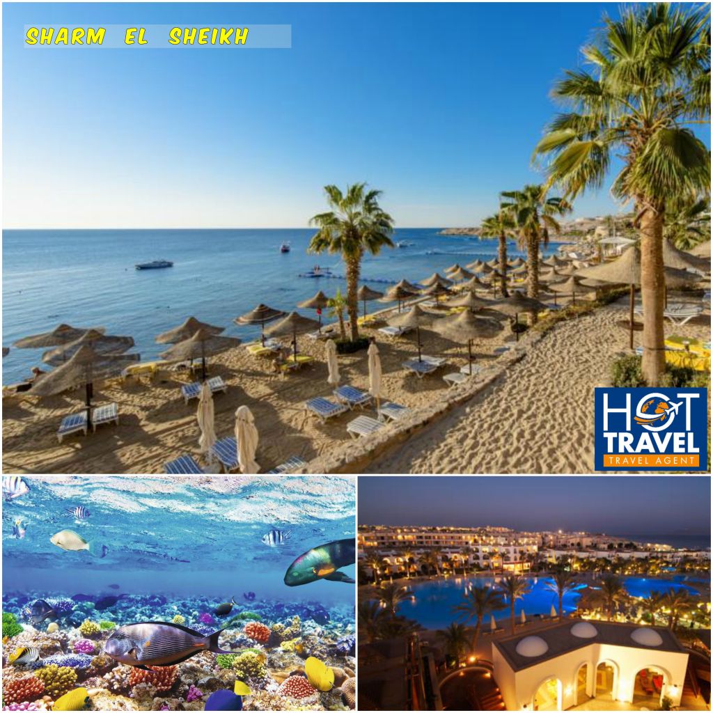 დაისვენე ეგვიპტეში უპრეცენდენტო ფასად