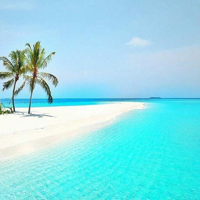 !!!მალდივები!!!!