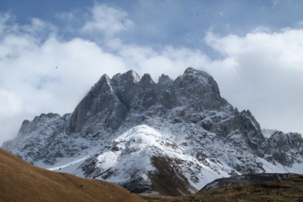 ჯუთა ნოემბერს