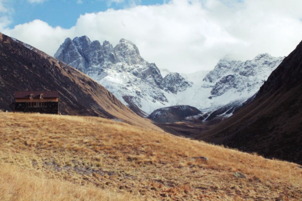 ჯუთა ნოემბერს