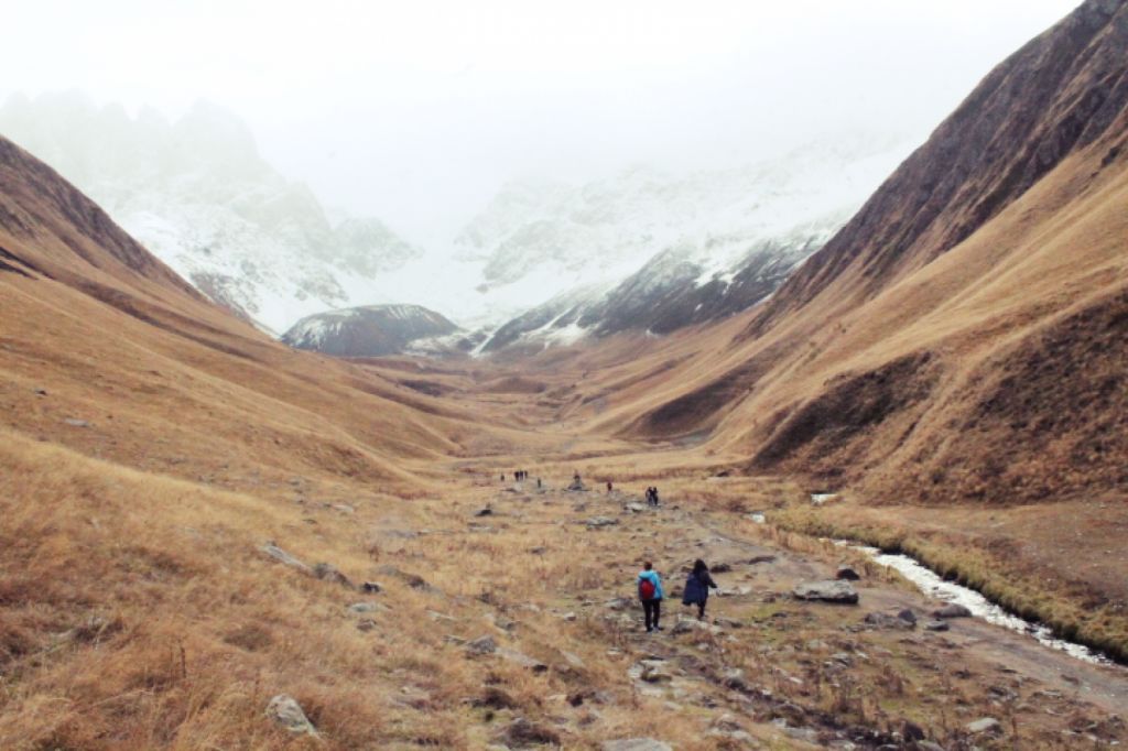 ჯუთა ნოემბერს