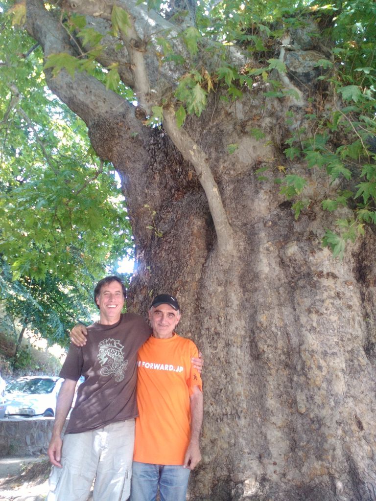 " მეღვინეობა ხარება " - კავკასიონის კლდეში ნაკვეთი ღვინის საცავი...