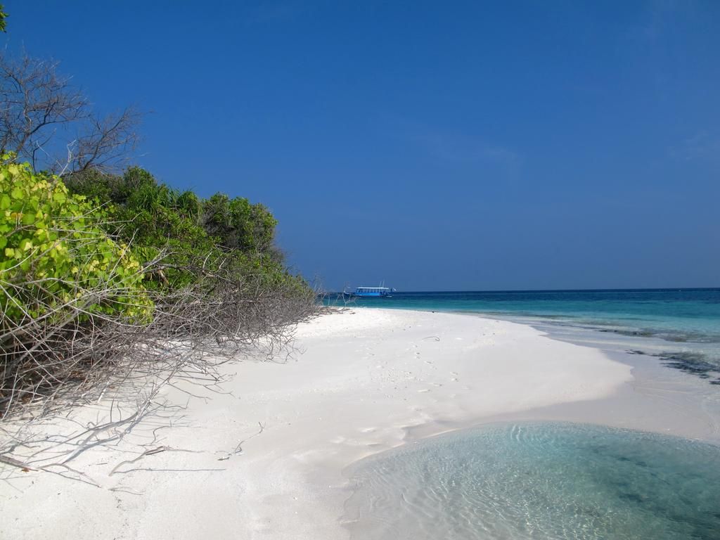 ვალენტინობა მალდივებზე