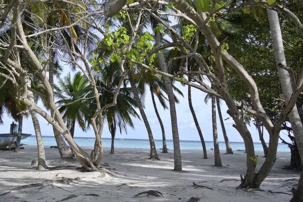 ვალენტინობა მალდივებზე