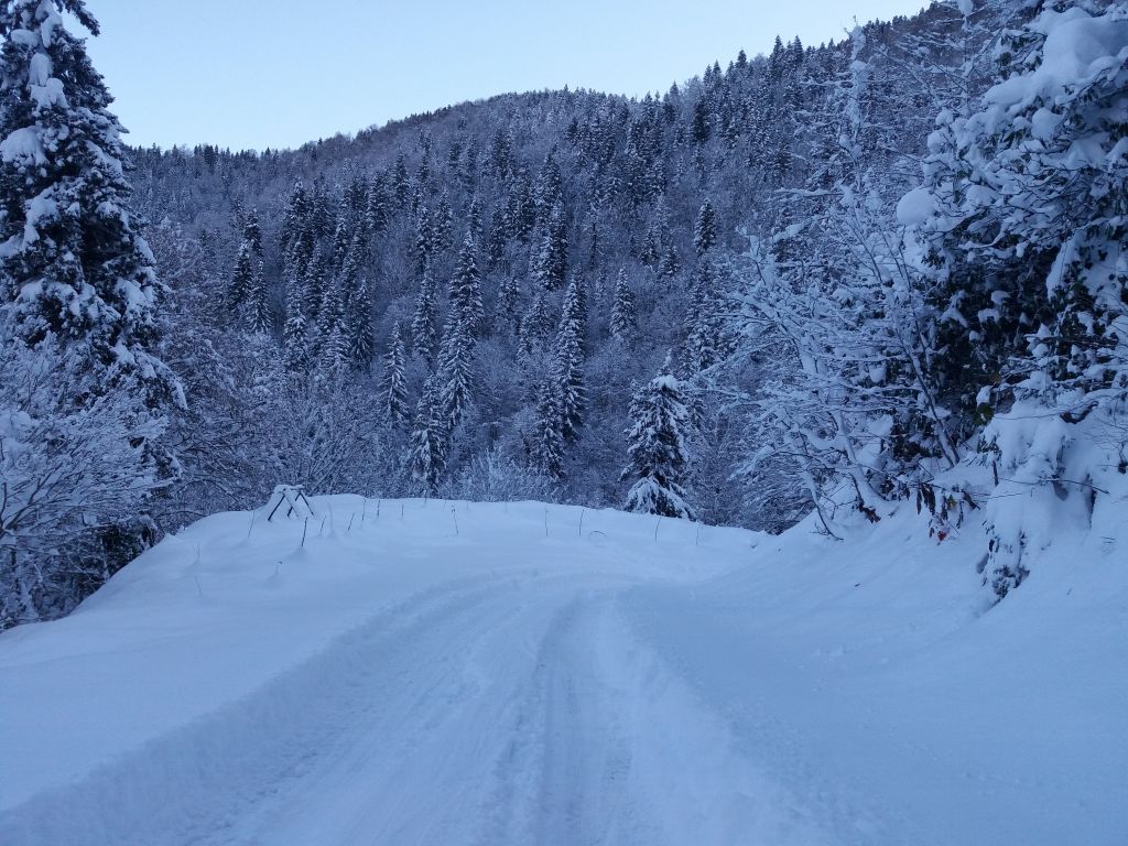დეკემბერი სეზონის გახსნა! ერთდღიანი ჯიპ-ტური ბაკურიანში