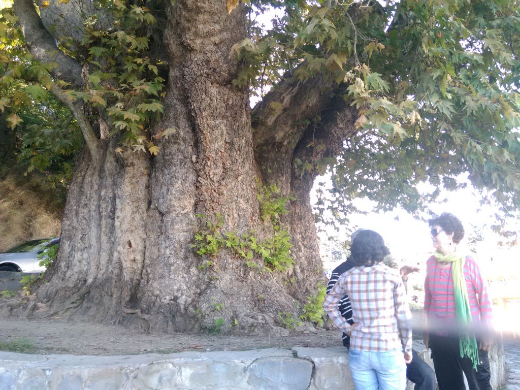 " მეღვინეობა ხარება " - კავკასიონის კლდეში ნაკვეთი ღვინის საცავი...
