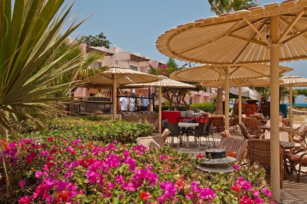 ეგვიპტე სრული პაკეტი