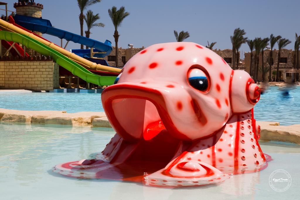 ეგვიპტე სრული პაკეტი