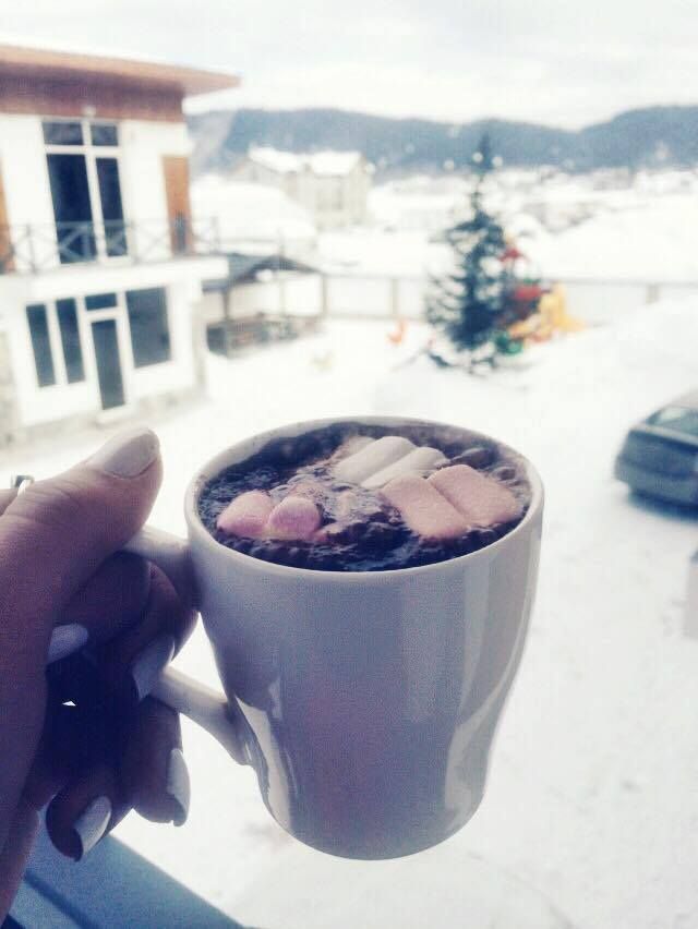 ბაკურიანი დეკემბერს (შაბათი) კვებით