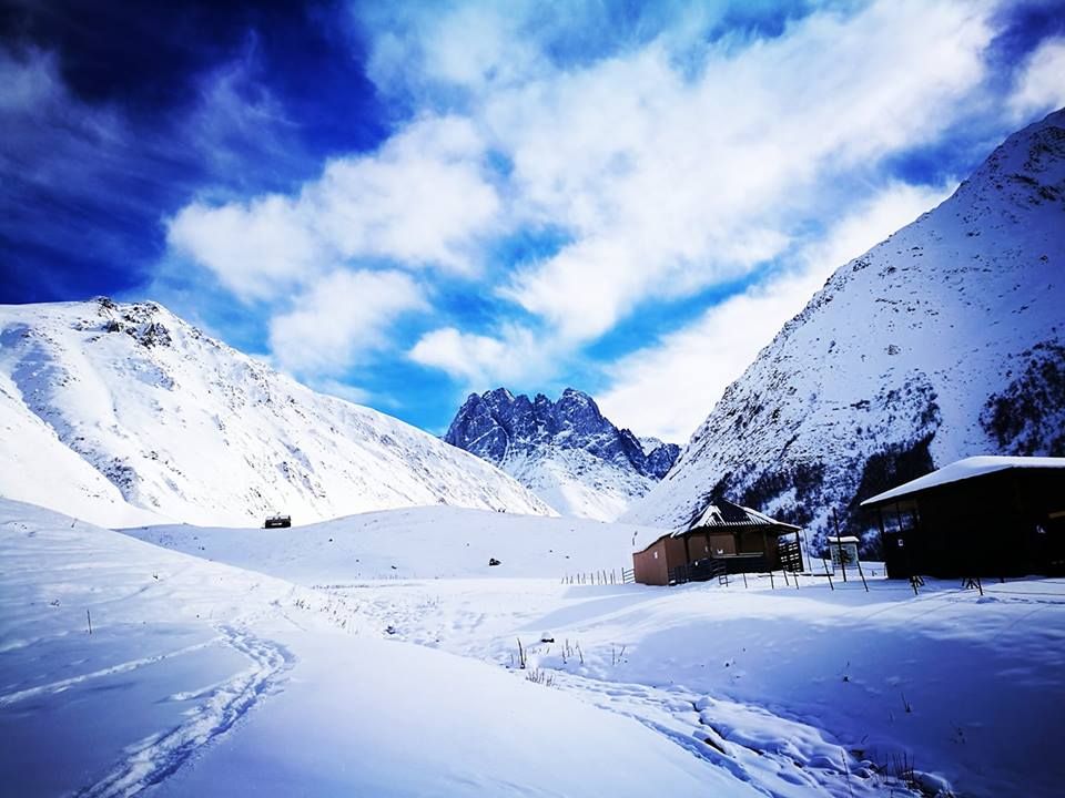 თოვლიანი ჯუთა