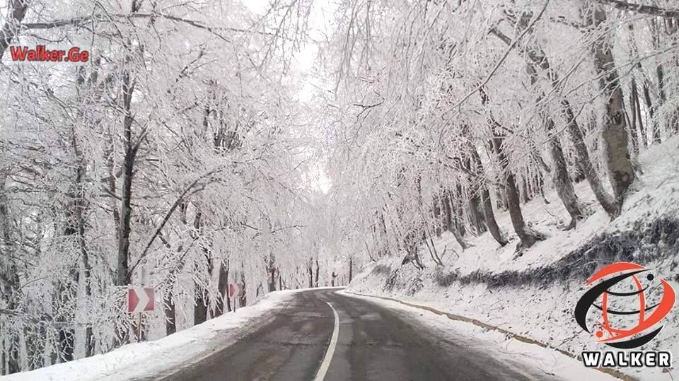 საბადურის ტყე, სიონის წყალსაცავი, მამკოდა, ცხვარიჭამია, არჩილის მონასტერი