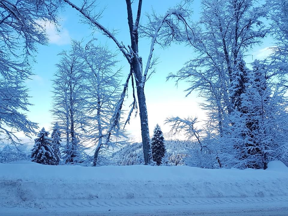 ჯადოსნური შობა ☛ ბაკურიანში