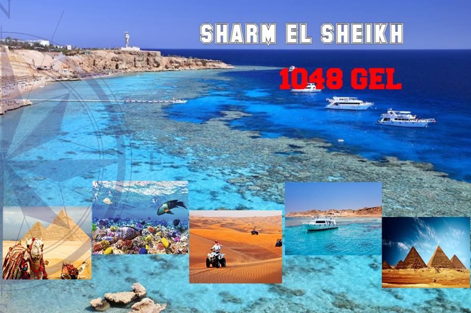 შარმ ელ შეიხი დღე