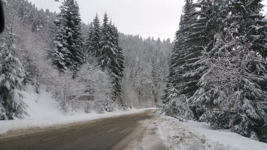 1 დღიანი ჯიპ ტური გუდაურში 2 გზა 50ლ