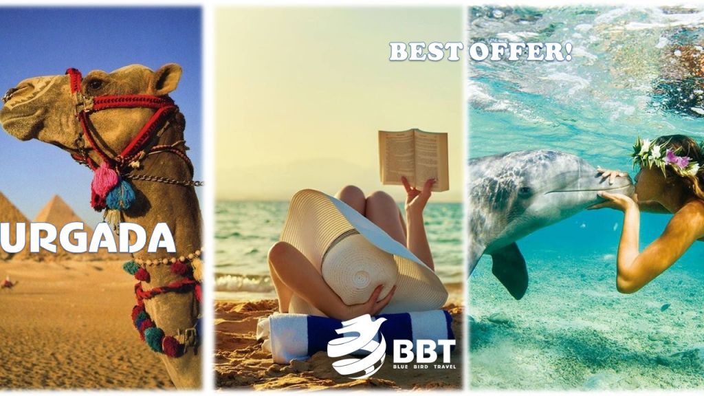სპეციალური შემოთავაზება ეგვიპტეში, იღბლიან მოგზაურთათვის!