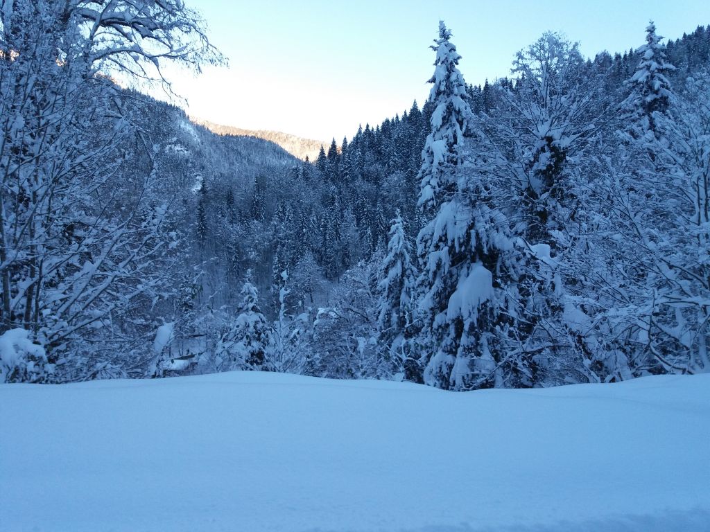 ორდღიანი სათხილამურო ჯიპ-ტური ბაკურიანში  ⛷⛷⛷⛷⛷⛷⛷
