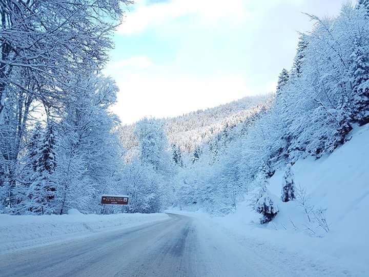გთავაზობთ ერთდღიან სათხილამურო ჯიპ-ტურს ბაკურიანში   ⛷⛷⛷⛷⛷⛷