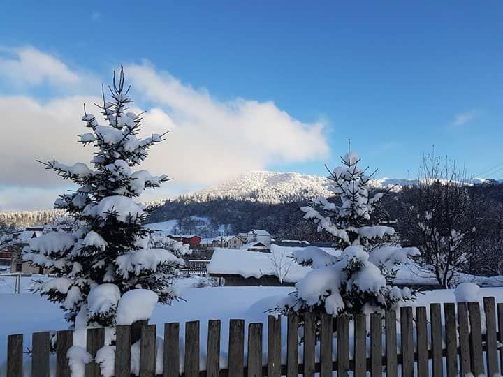 ტური ☛ ბაკურიანში  დეკემბერს