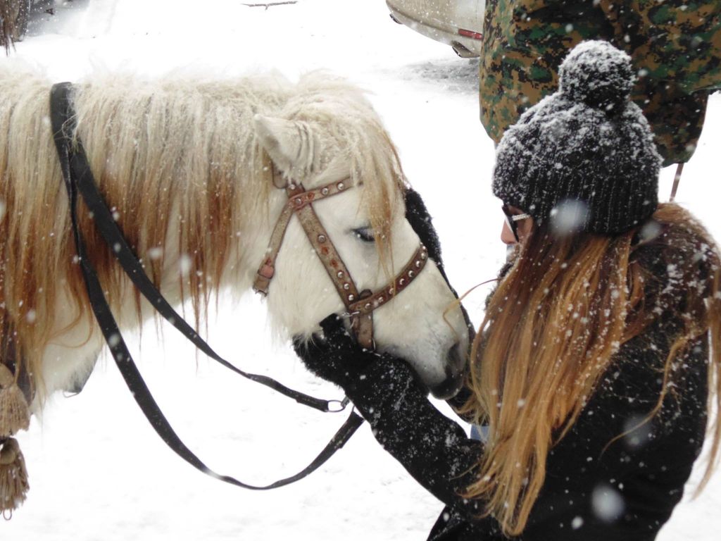 ტური ☛ ბაკურიანში დეკემბერს