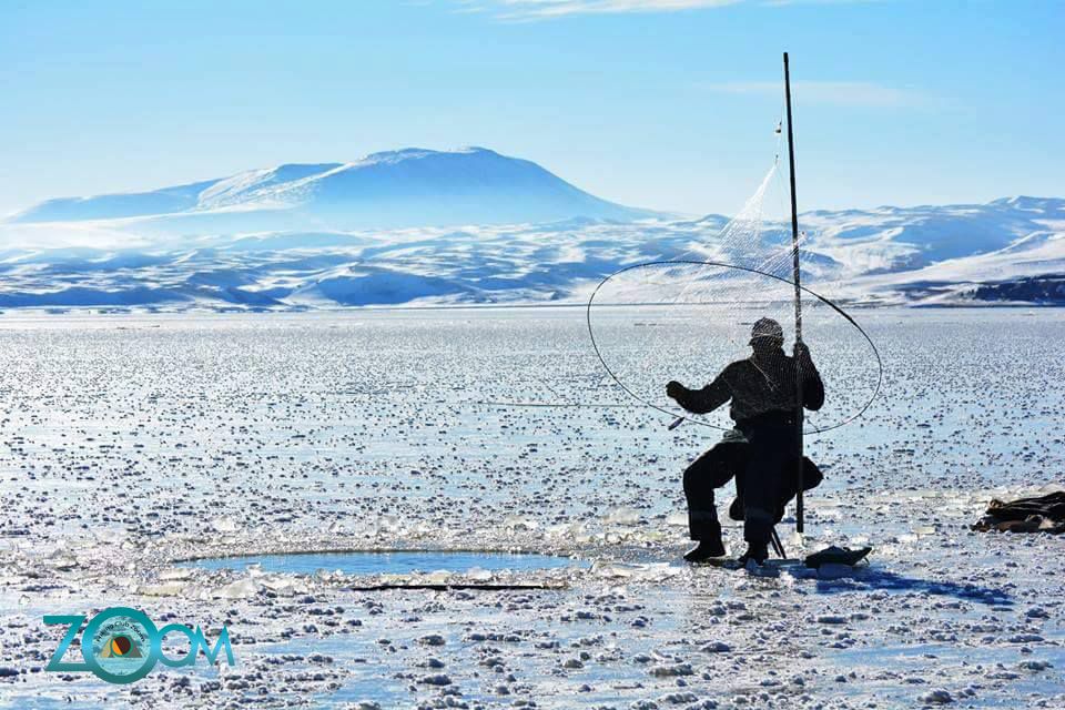 გაყინული ფარავნის ტბა ZooM-ში