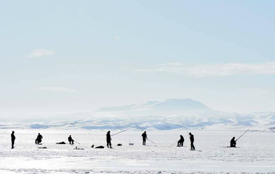 გაყინული ფარავნის ტბა ZooM-ში