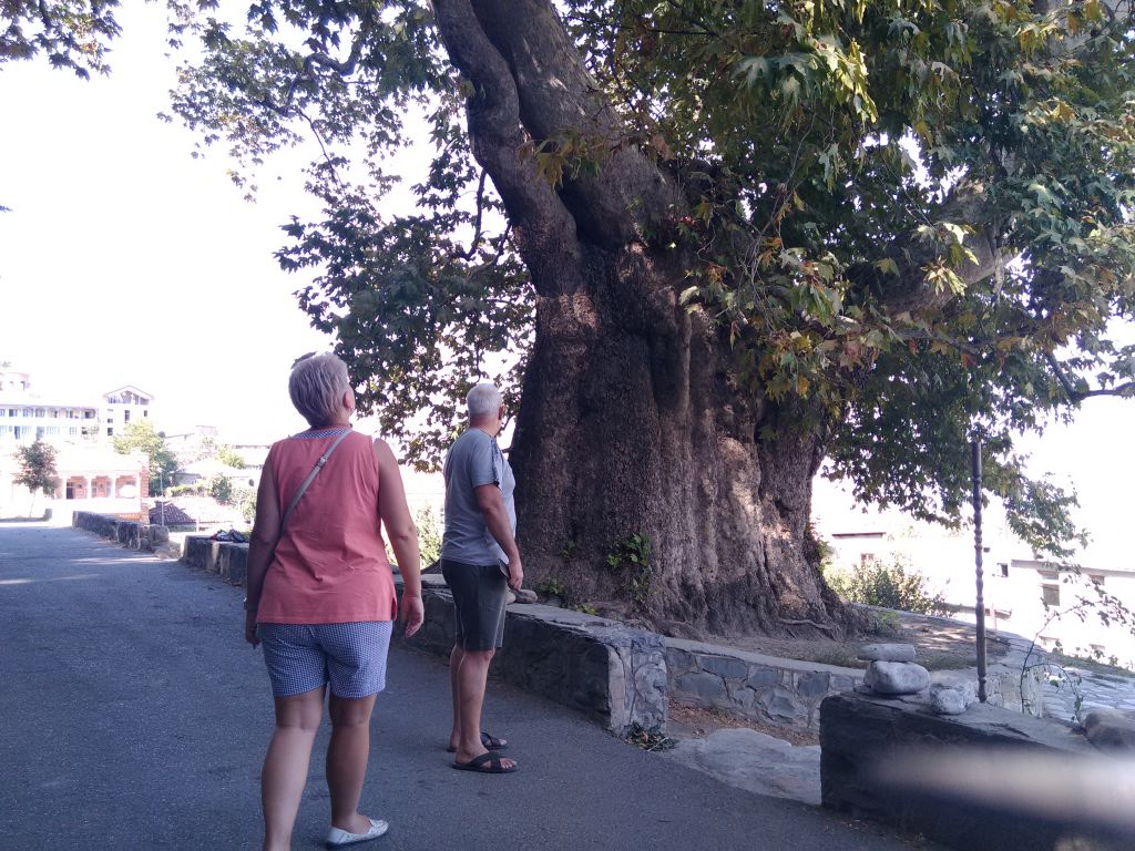 შუამთის მონასტერი, ალავერდი, თელავი, წინანდალი, გრემი, ნეკრესი,ილიას ტბა...