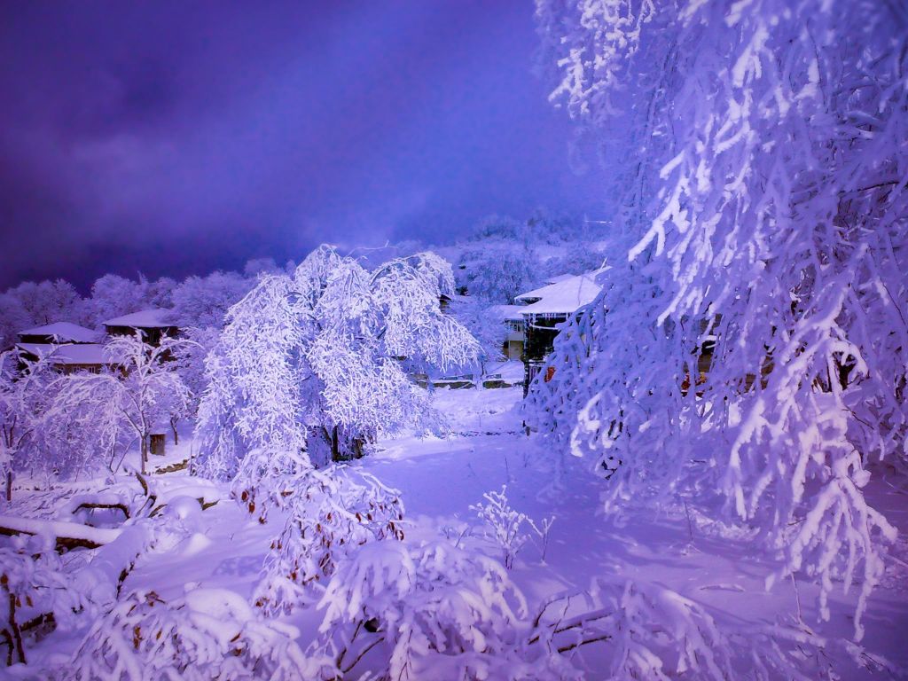 ორ დღიანი ტური რაჭაში