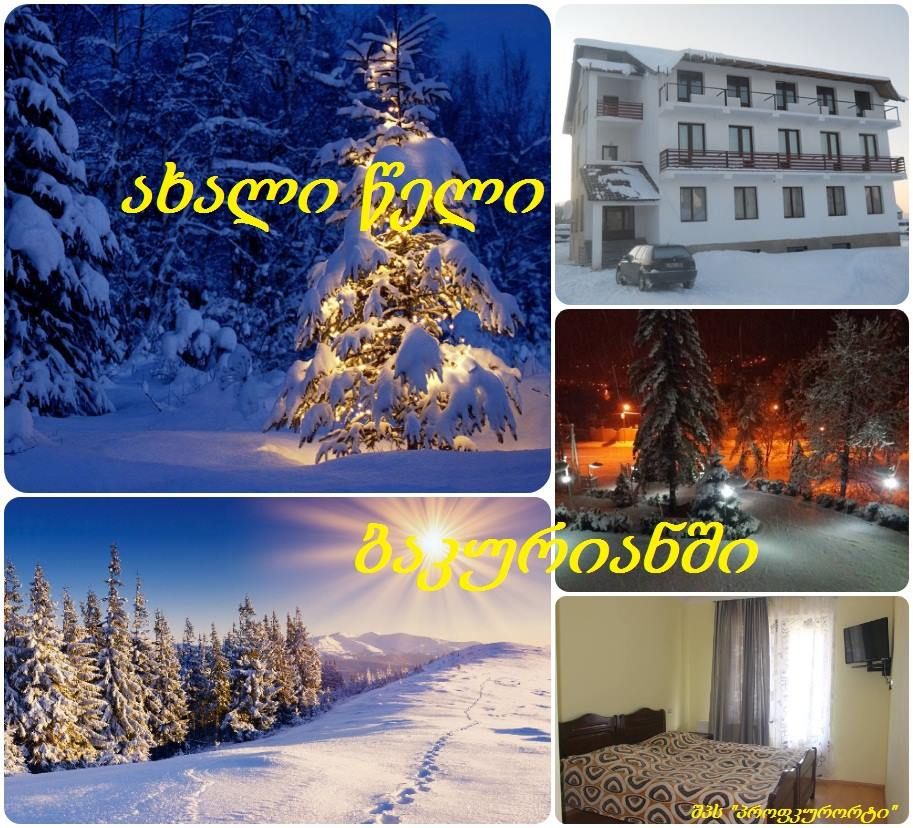 ახალი წელი ბაკურიანში