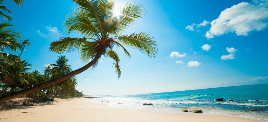 ველნტინობის დღესასწაული შრი ლანკაზე <