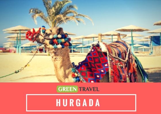 აქცია !! დაისვენეთ ეგვიპტეში სრული პაკეტი !!