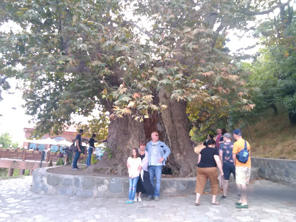 ალავერდი, შუამთა,თელავი, წინანდალი, გრემი, ნეკრესი,ილიას ტბა...