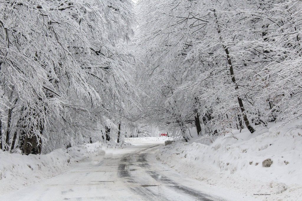 დეკემბერი საბადურების ტური - სრულდება მე- მიკროავტბუსის შევსება