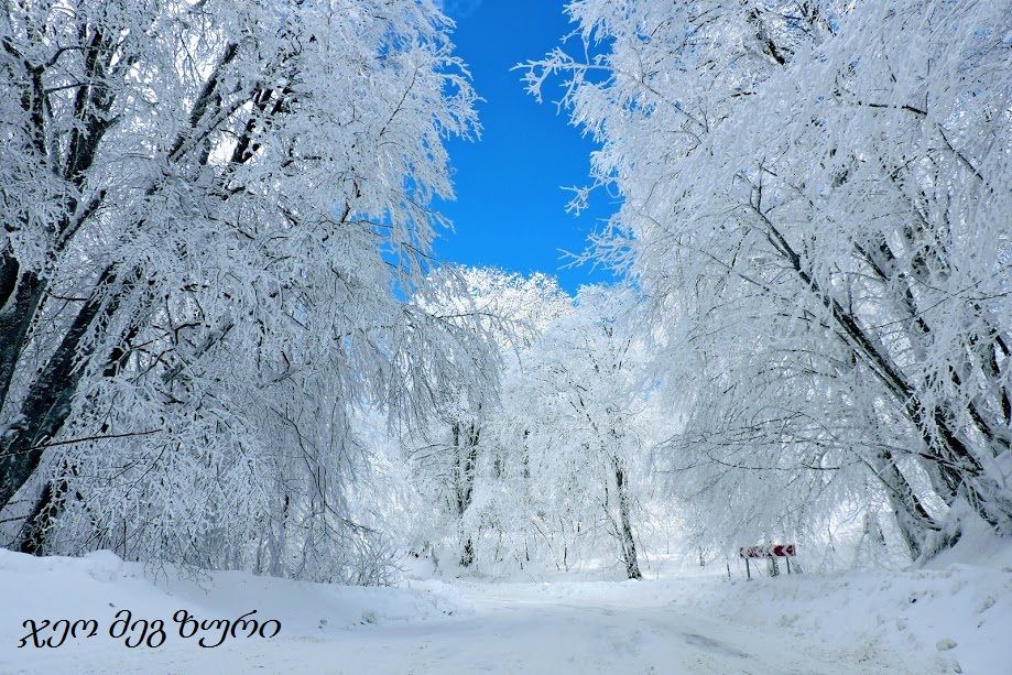 საბადურის ტყე,ისტორიული ერწო