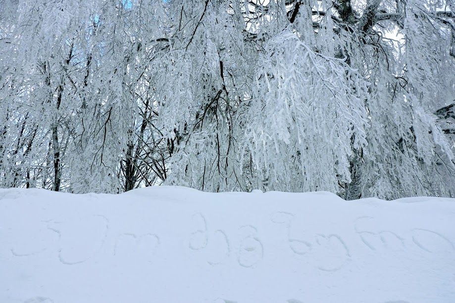 საბადურის ტყე,ისტორიული ერწო