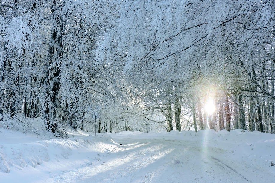 საბადურის ტყე,ისტორიული ერწო, თიანეთი, 15 GEL, ჯეო მეგზური