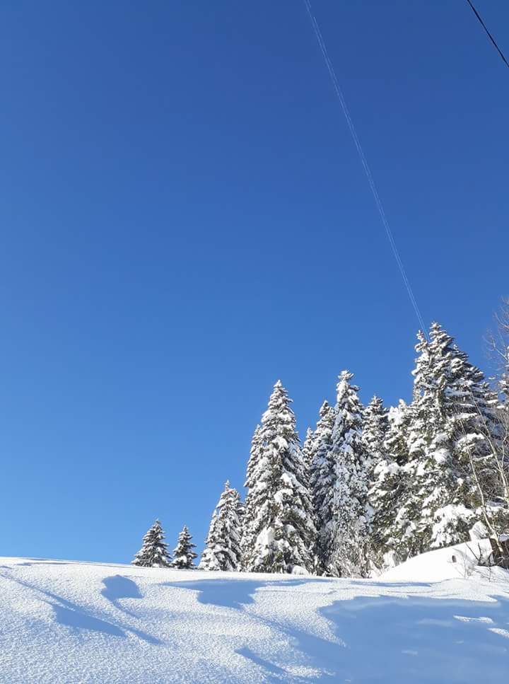 სამდღიანი სათხილამურო ჯიპ-ტური სვანეთში! ⛷⛷⛷⛷⛷