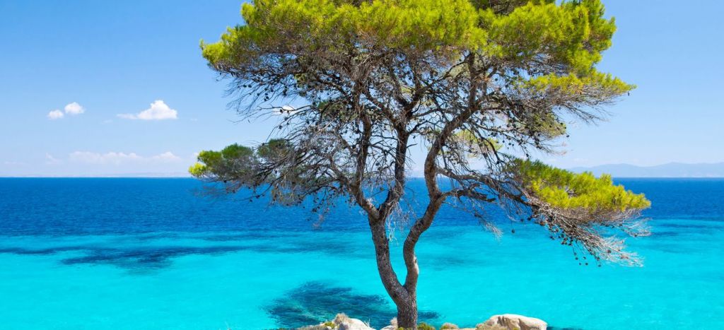 ნაადრევი ჯავშნები ჰალკიდიკზე