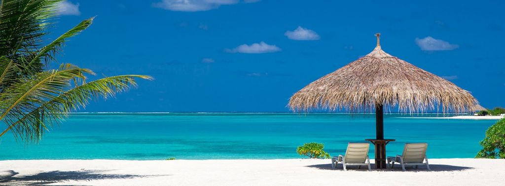 გაატარეთ ზამთრის ცივი დღეები გოას თბილ სანაპიროებზე