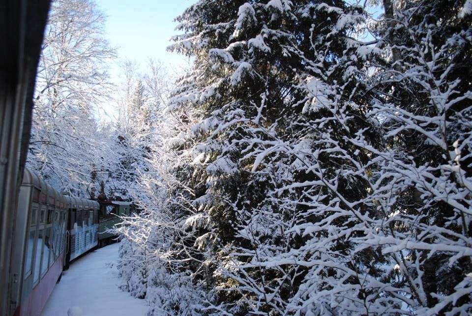 ბაკურიანი