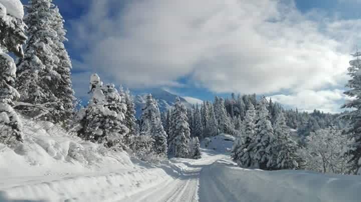 სვანეთი (ძველით ახალი წელს)