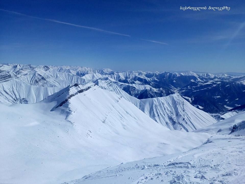 გუდაურის ერთ დღიანი ტური