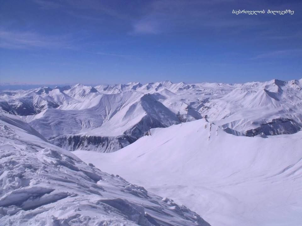 გუდაურის ერთ დღიანი ტური