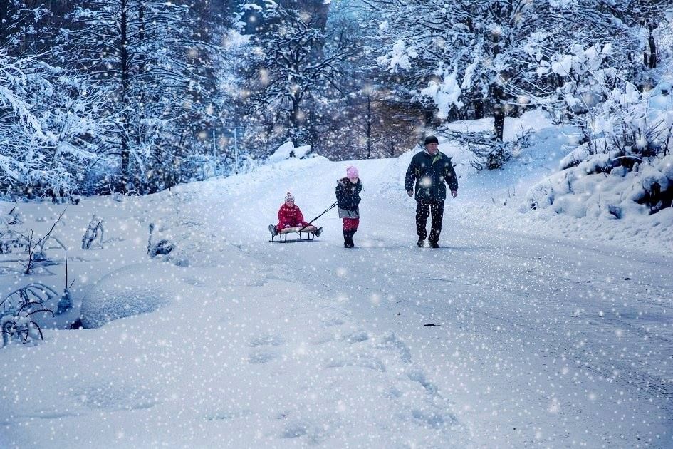 ბაკურიან-მიტარბი ! ! ბოლო არასტანდარტ ადგილი !