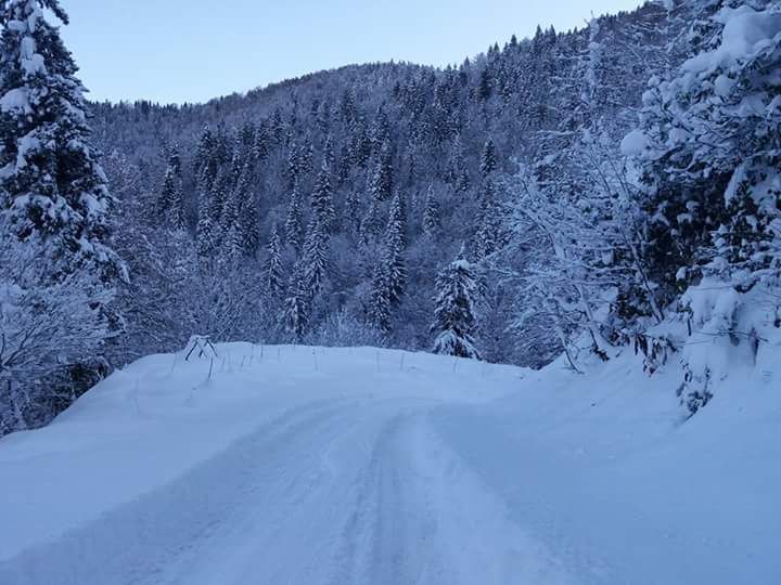 ერთდღიანი სათხილამურო ჯიპ-ტური ბაკურიანში ❄❄❄❄❄❄❄❄