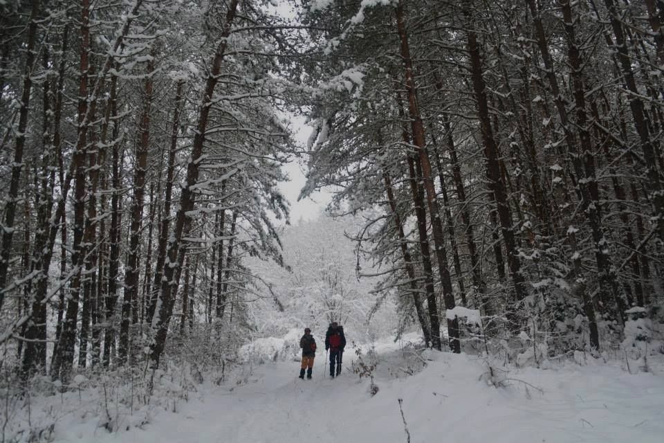 ბაკურიანის დღიანი ტური ! სულ ლ ა რ ა დ ! - მარტს