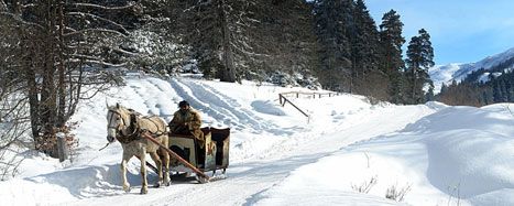 ბაკურიანის დღიანი ტური ! სულ ლ ა რ ა დ ! - მარტს