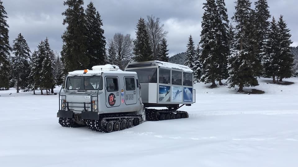  გატარე შობის დღე ბორჯომ ბაკურიანის ულამაზეს ხეობაში