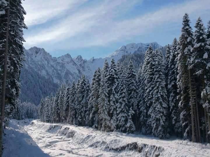 ძველით ახალი წელი რაჭაში